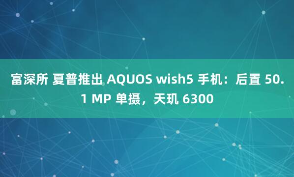 富深所 夏普推出 AQUOS wish5 手机：后置 50.1 MP 单摄，天玑 6300