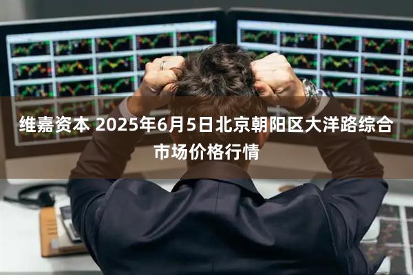 维嘉资本 2025年6月5日北京朝阳区大洋路综合市场价格行情