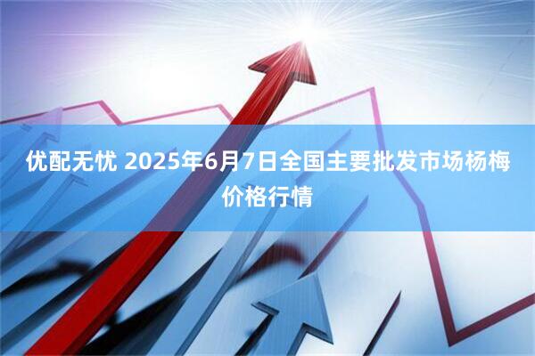优配无忧 2025年6月7日全国主要批发市场杨梅价格行情