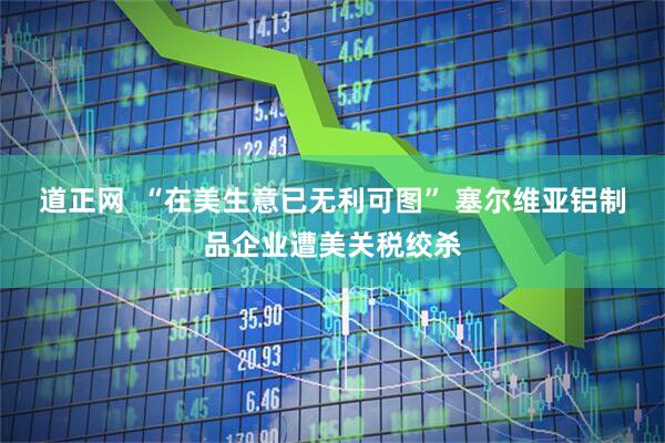 道正网  “在美生意已无利可图” 塞尔维亚铝制品企业遭美关税绞杀