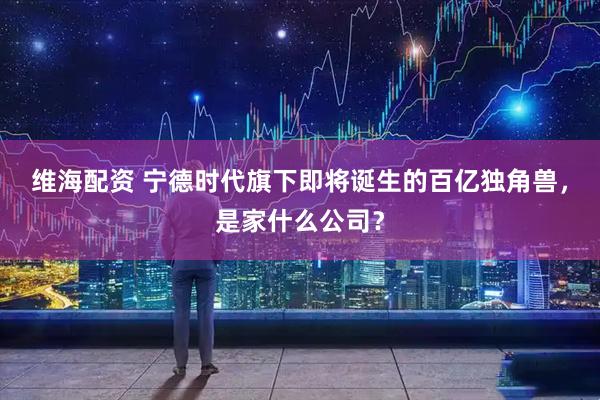 维海配资 宁德时代旗下即将诞生的百亿独角兽，是家什么公司？