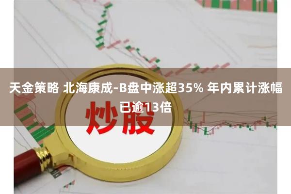 天金策略 北海康成-B盘中涨超35% 年内累计涨幅已逾13倍