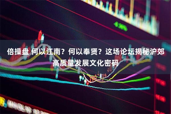 倍操盘 何以江南？何以奉贤？这场论坛揭秘沪郊高质量发展文化密码