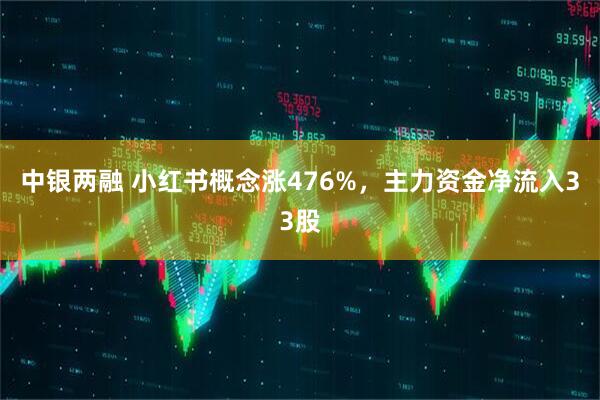 中银两融 小红书概念涨476%，主力资金净流入33股