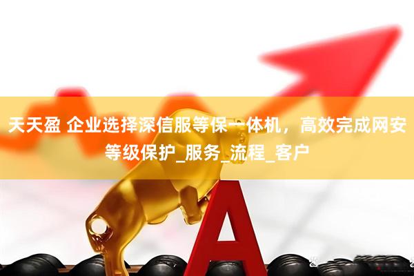 天天盈 企业选择深信服等保一体机，高效完成网安等级保护_服务_流程_客户